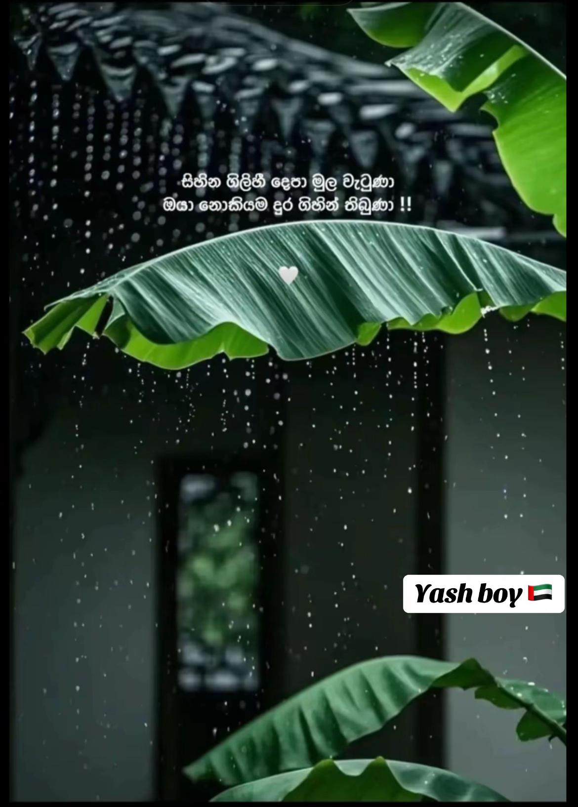 @YASH BOY 🇦🇪