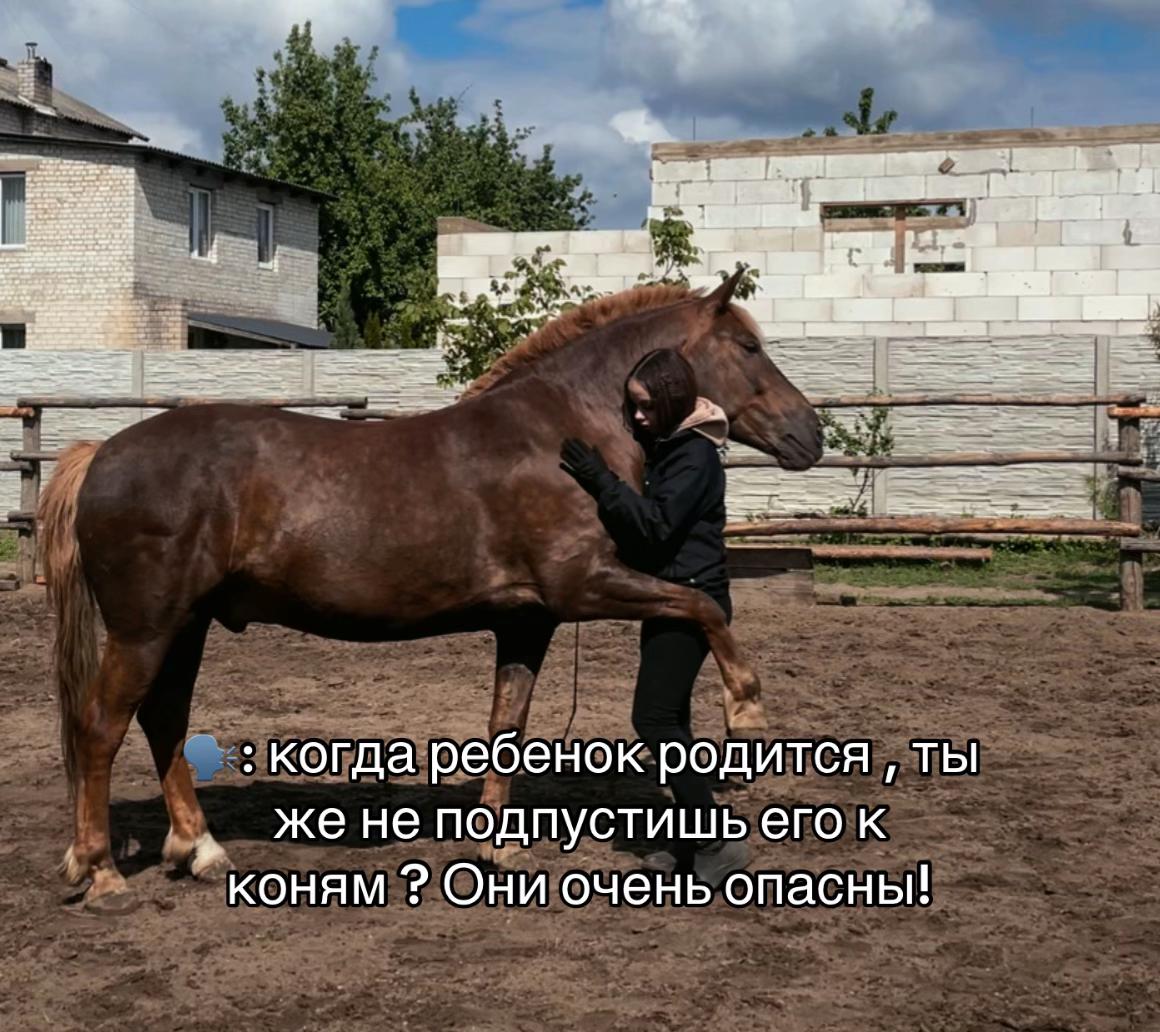 @❗Брест❗ 🐎Конюшня 🐎