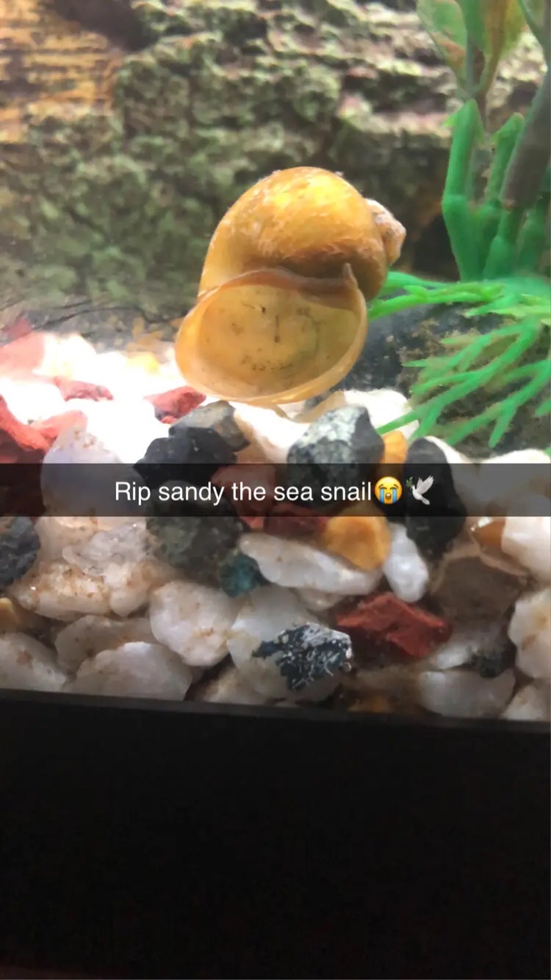 @Syd123