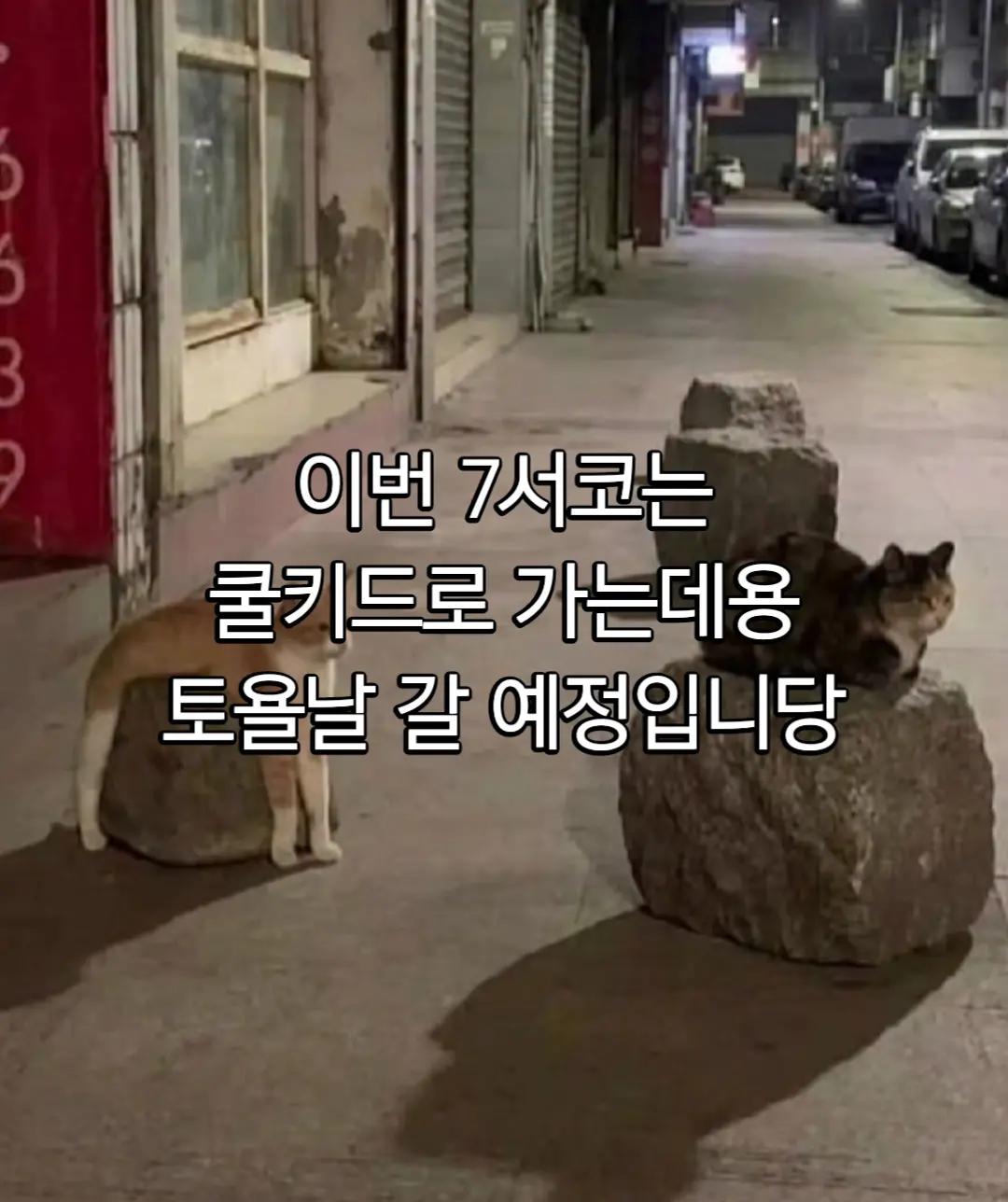 @마늘