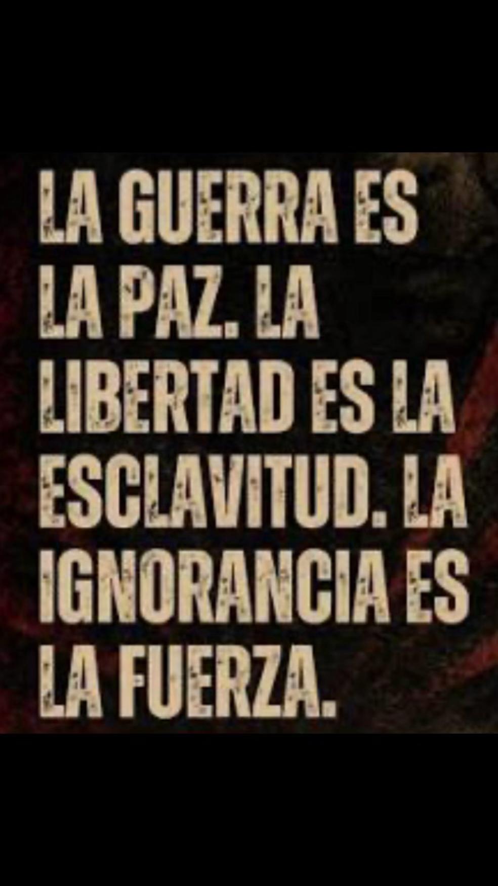 @507experiencia