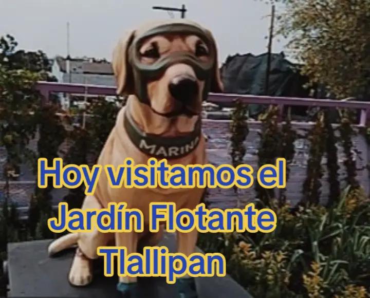 @ruso gringo
