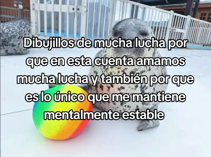 @regresen ¡mucha lucha!