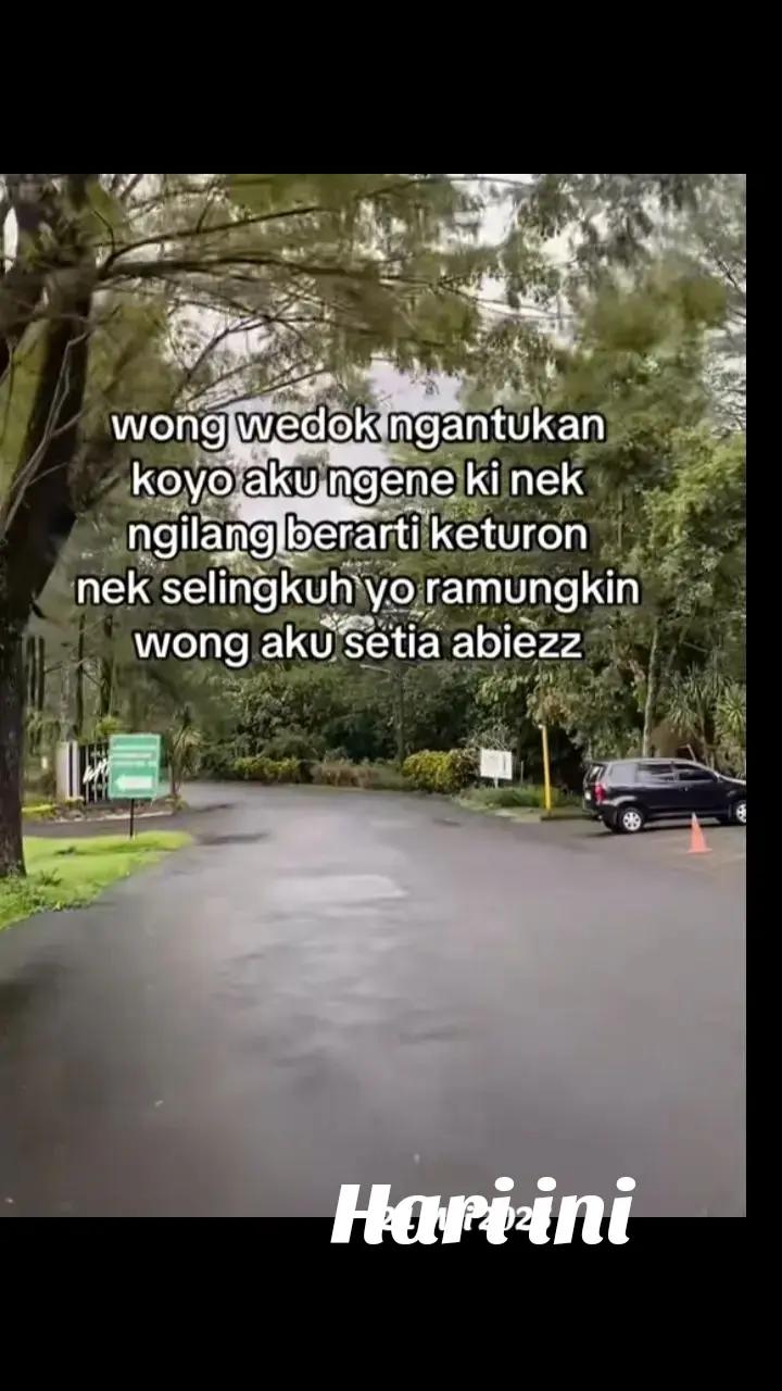 @Artinia