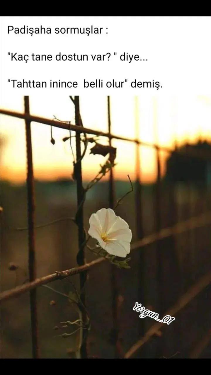 @Yorgun_01