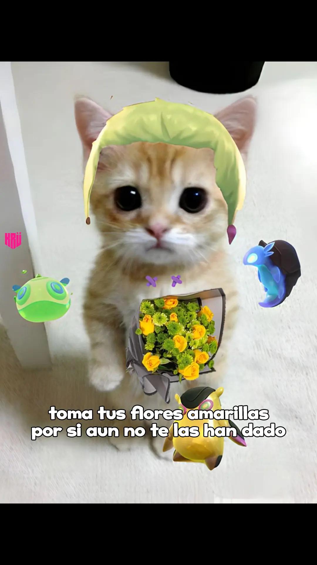 @KR&Uuml;