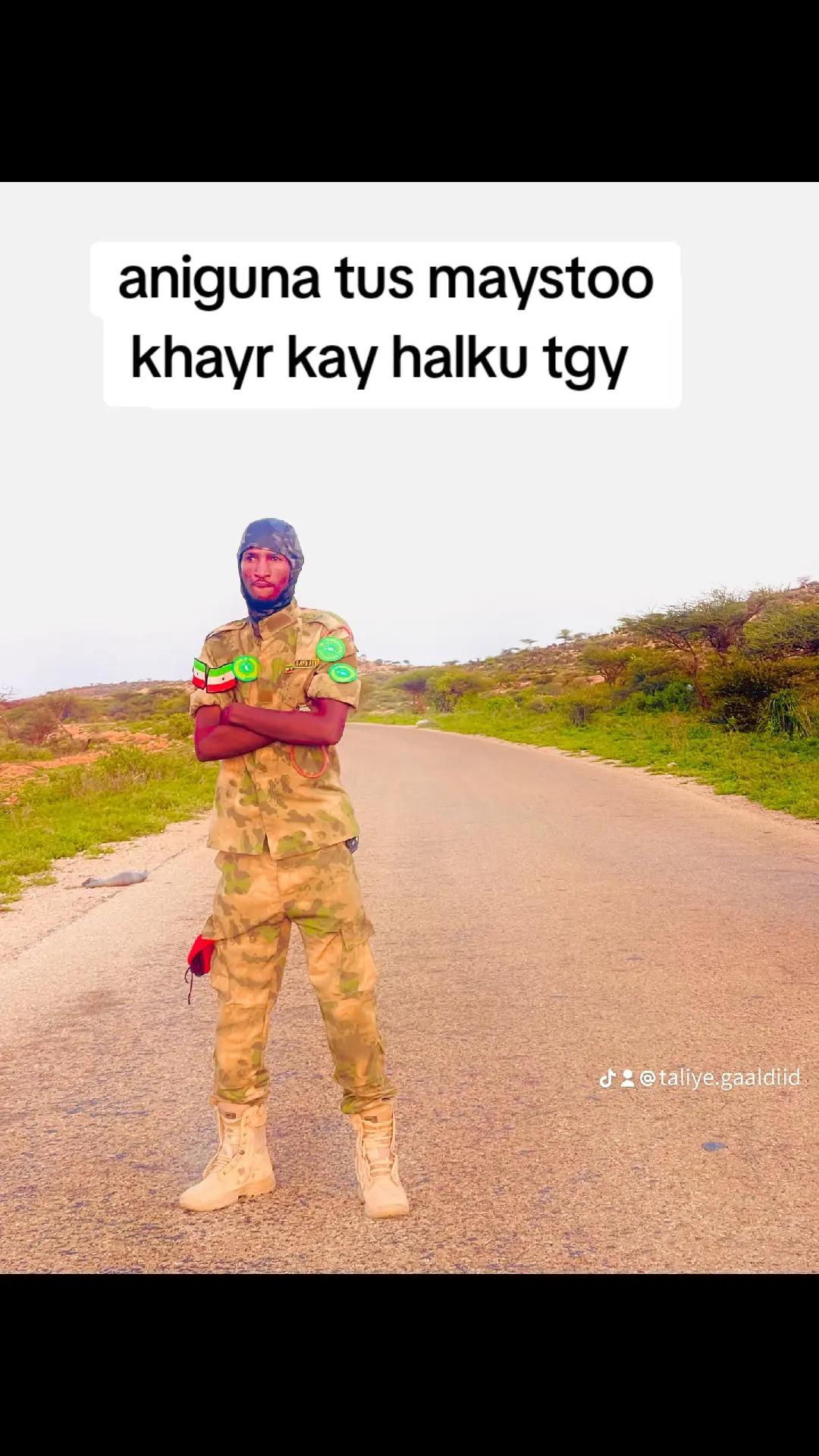 @taliye gaaldiid