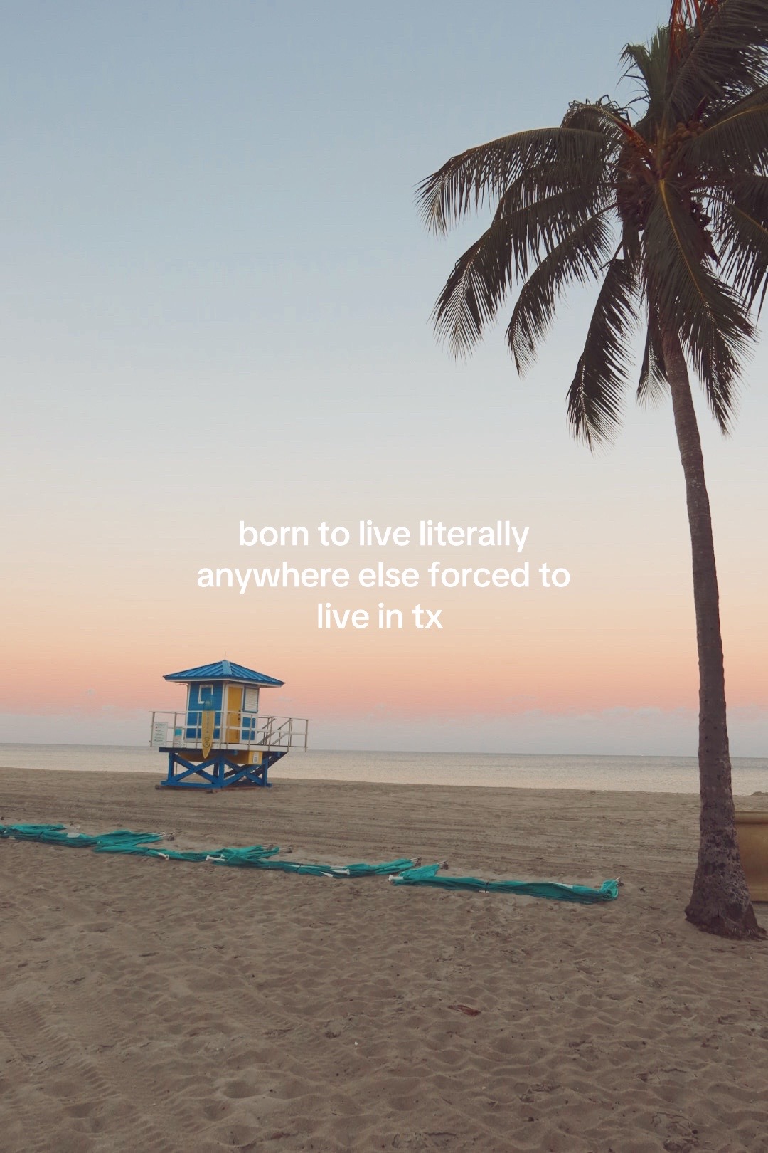 @lynn&cedil;.❀