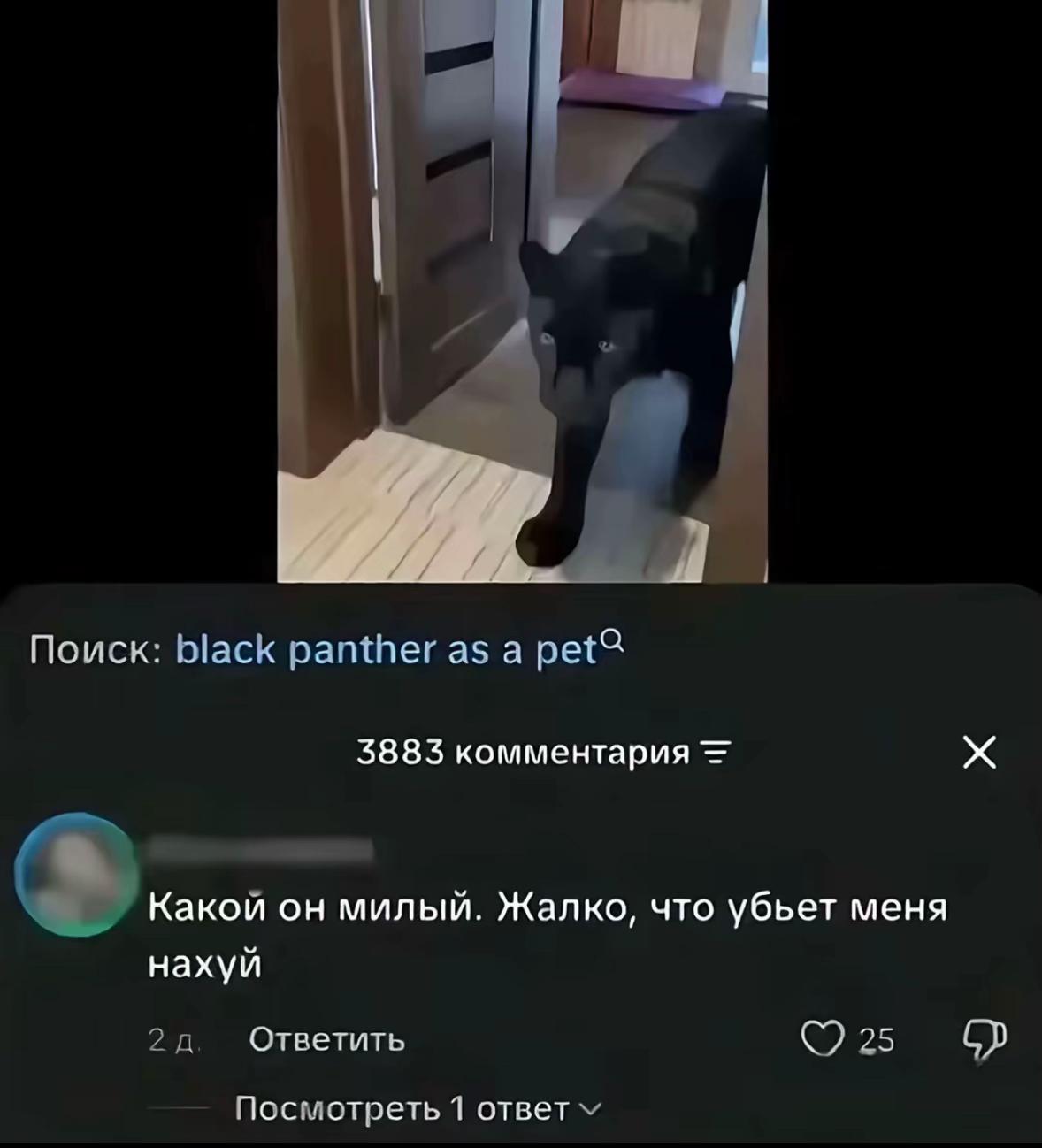 @scdbenz