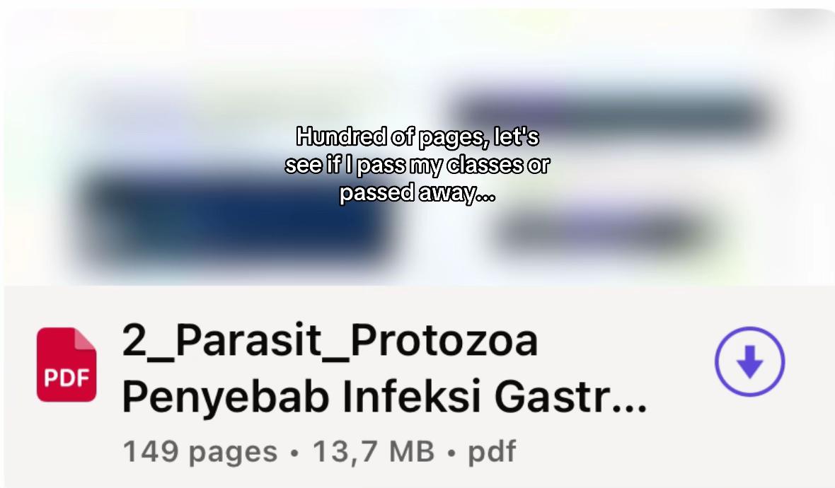 @Baimboss