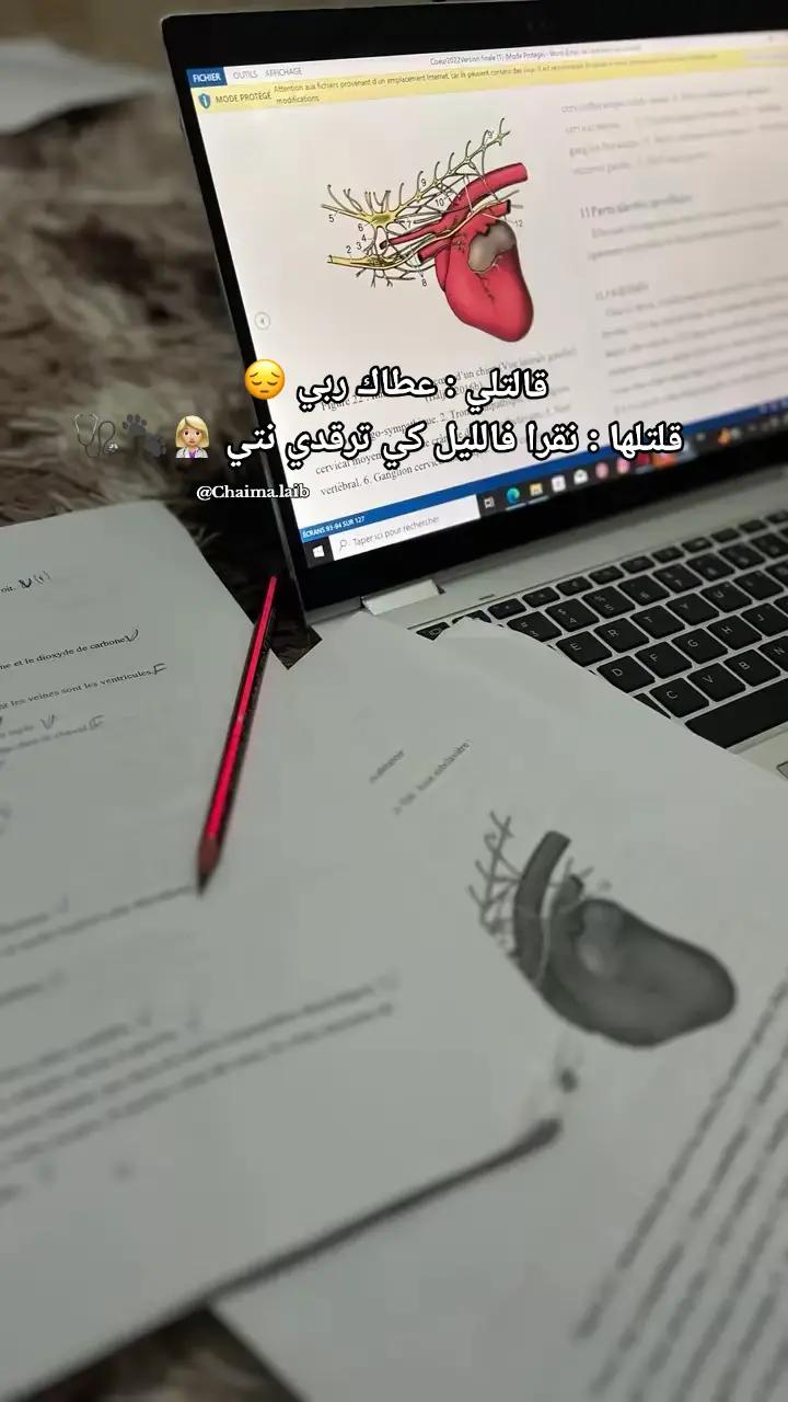@Chaima Laib