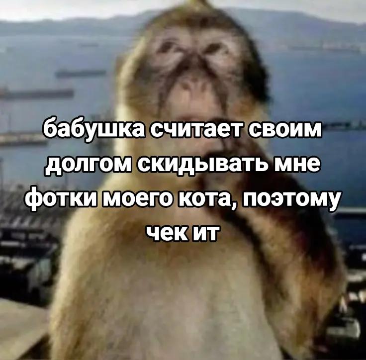 @Соня Мармеладова🍀