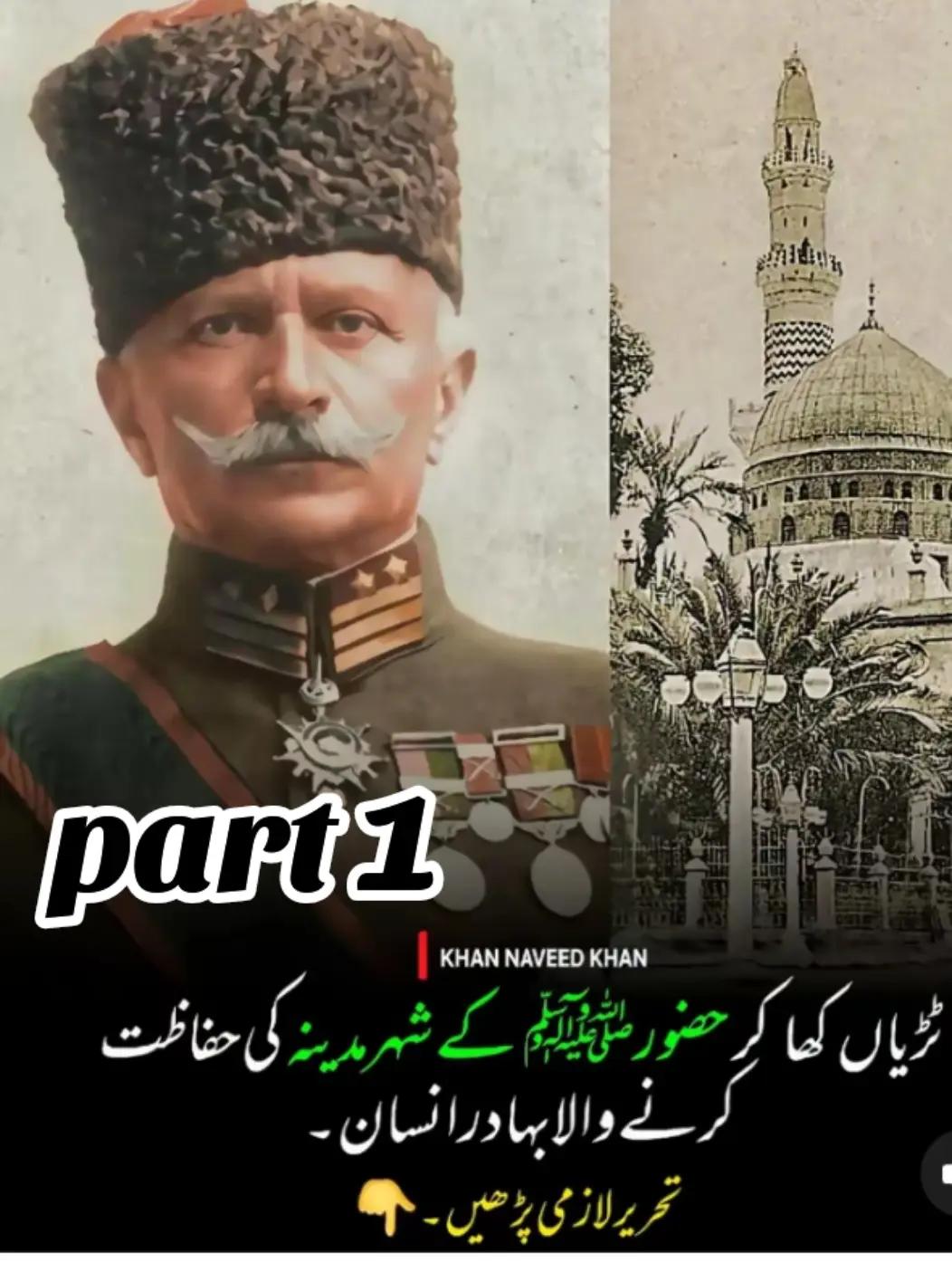 @syedzafaramin