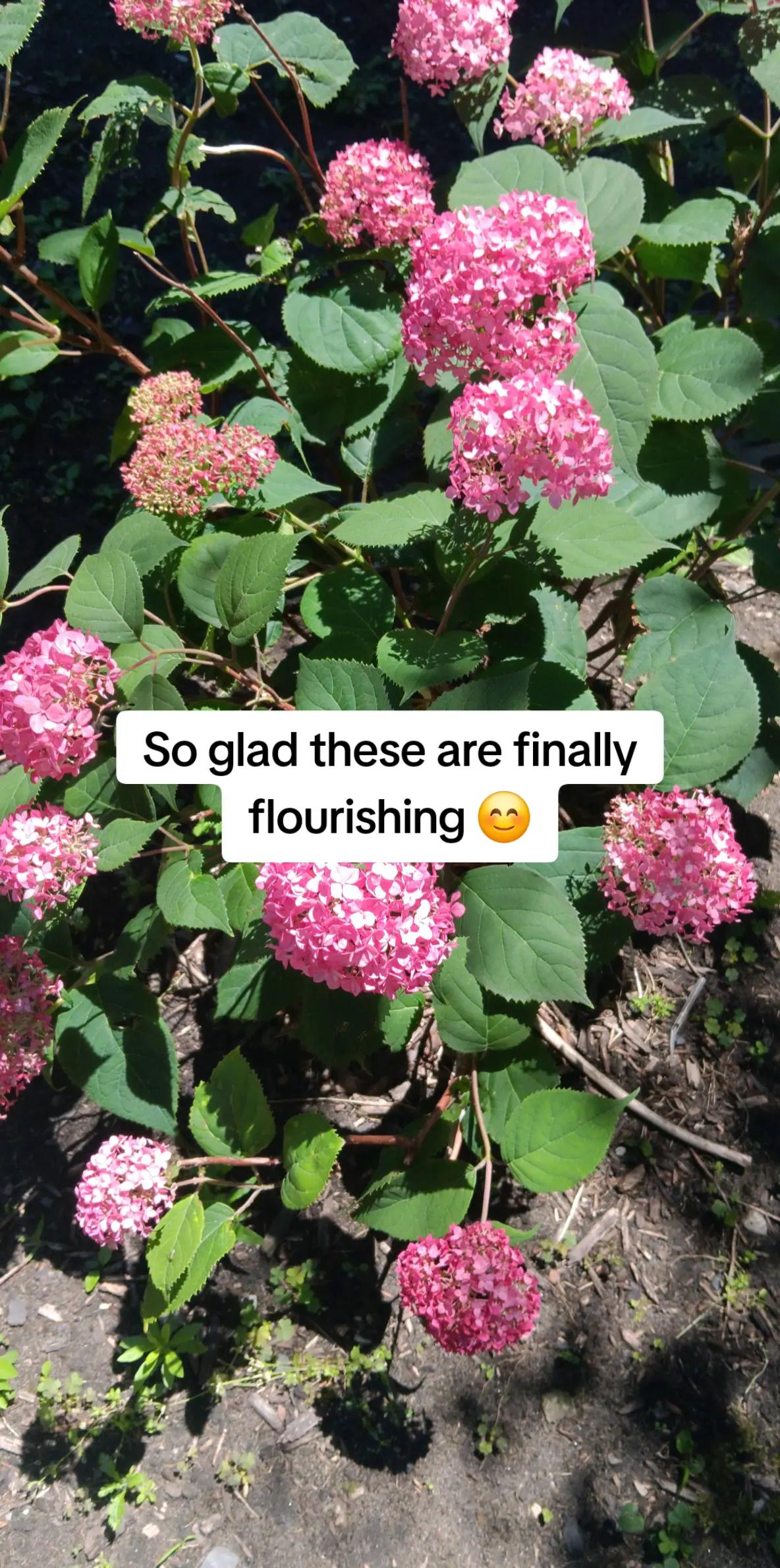 @biology_brat_mk2