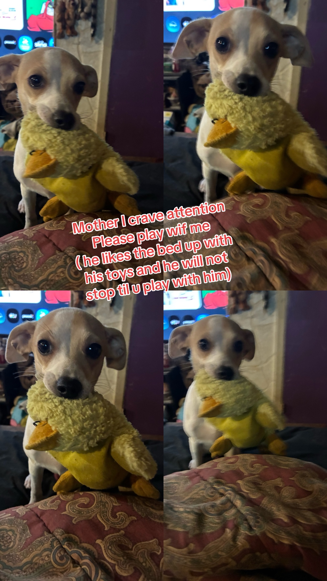 @*Patty*