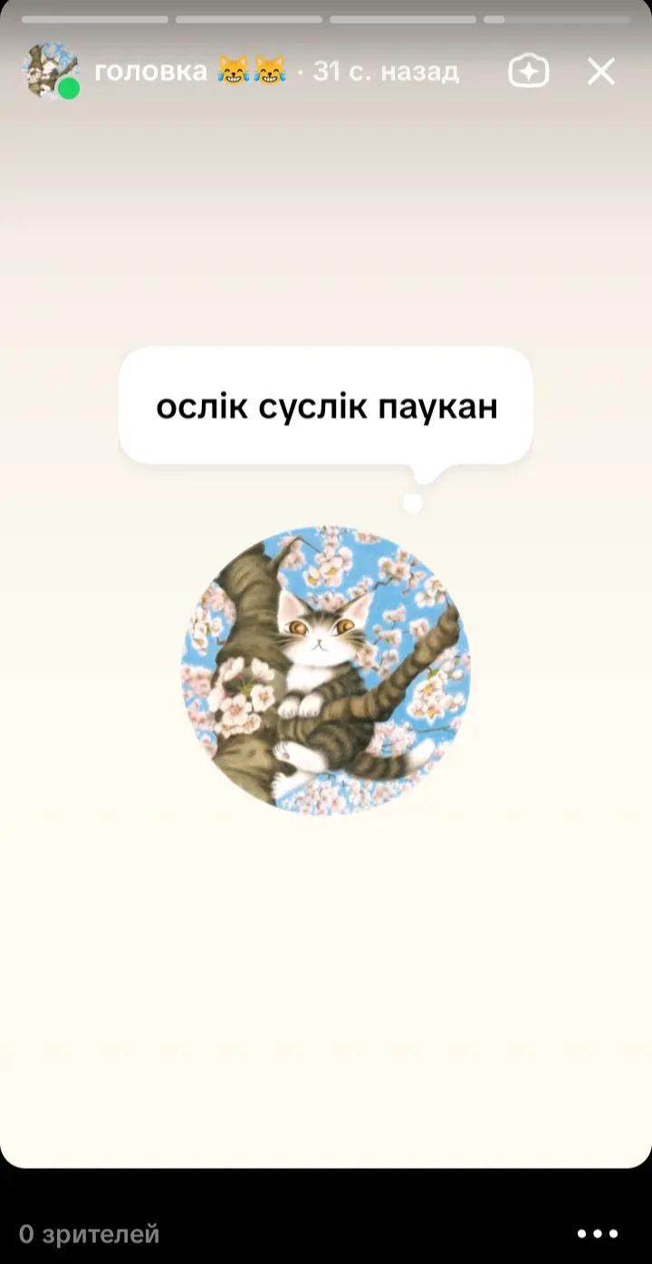 @головка 😹😹