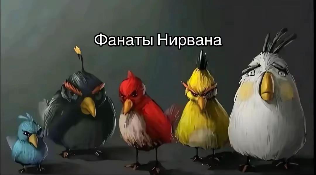 @krtcbn.27
