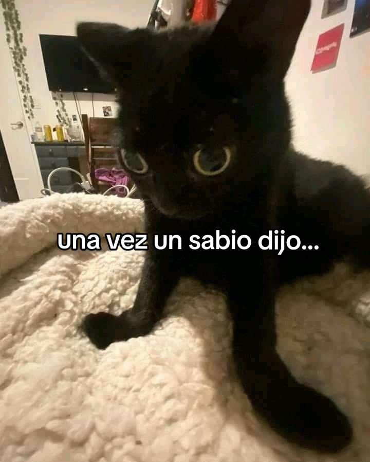 @Pao_montero