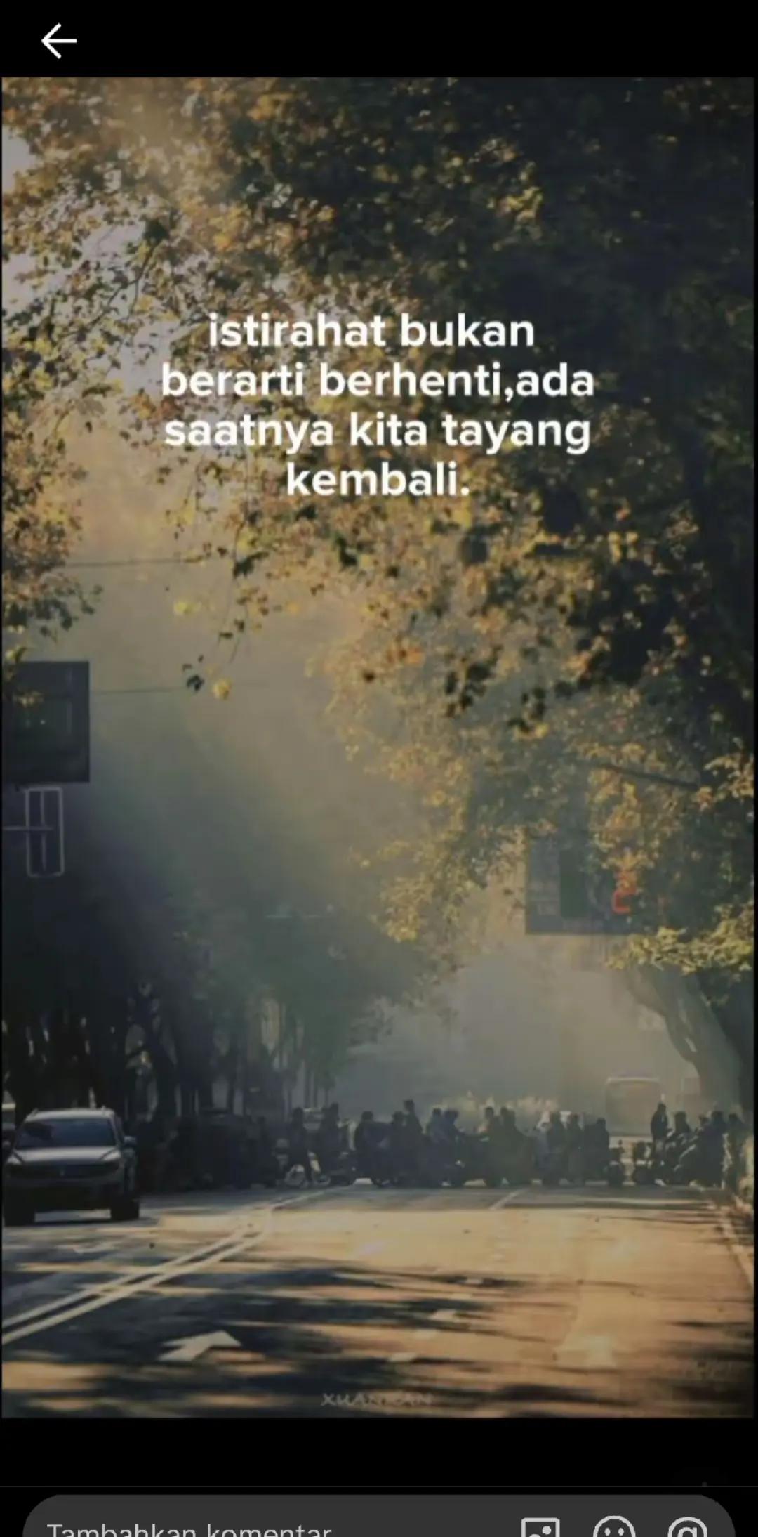 @rynn