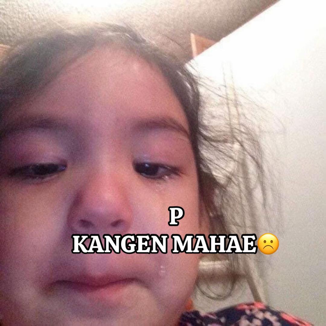 @cipa^markhyuck