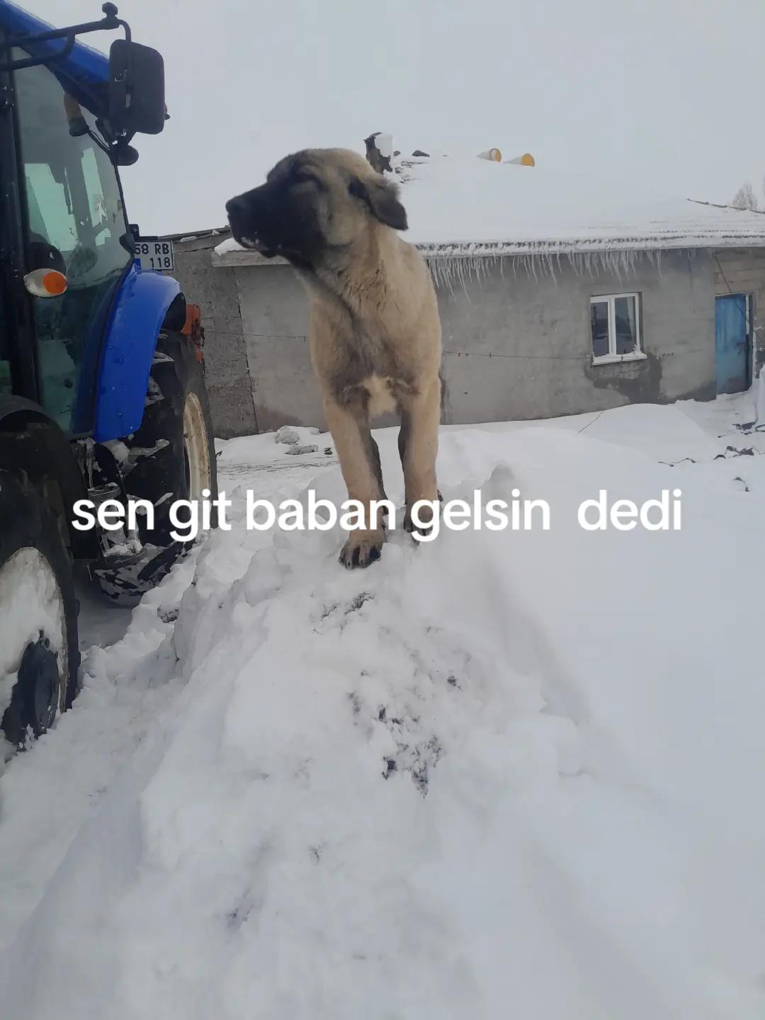 @sivaslı