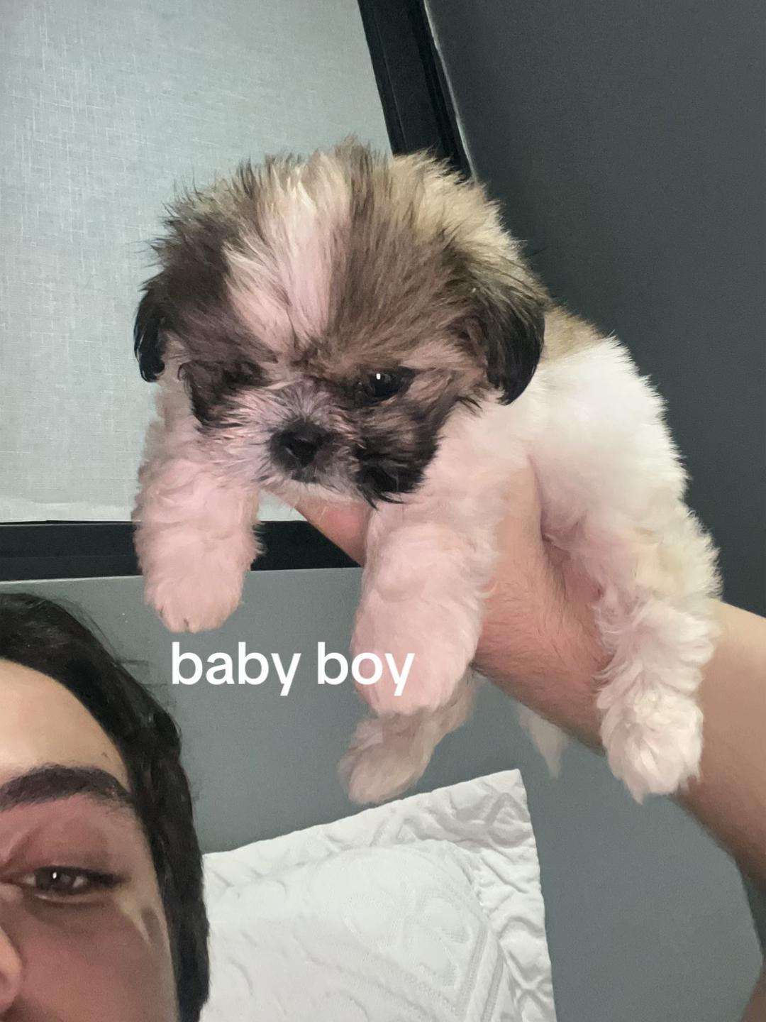 @Augusto César