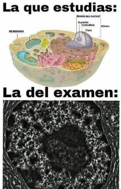 @gabrielmatamoros