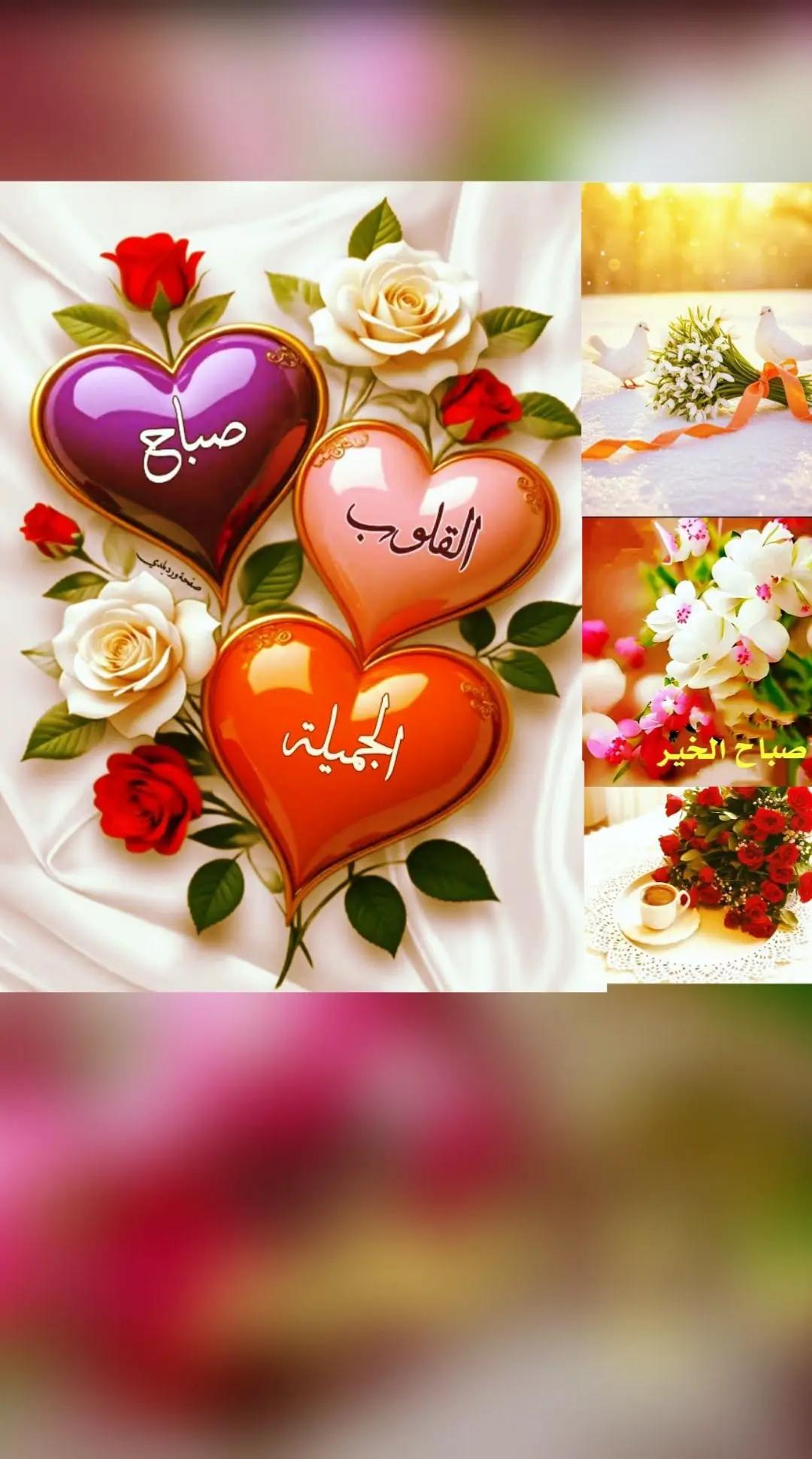 @Nazeeh Yamin