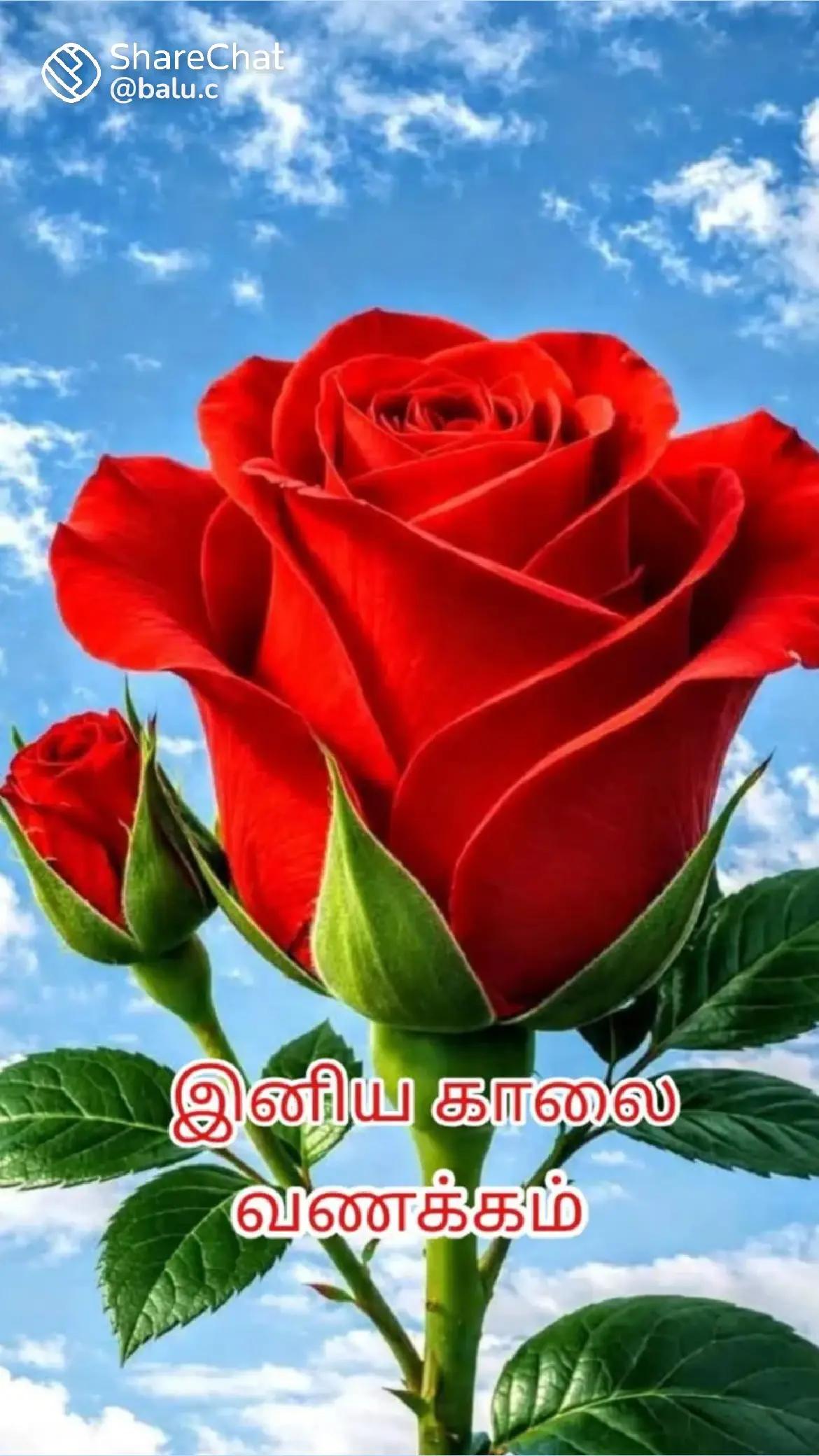 @RAJA🌹💘🔥