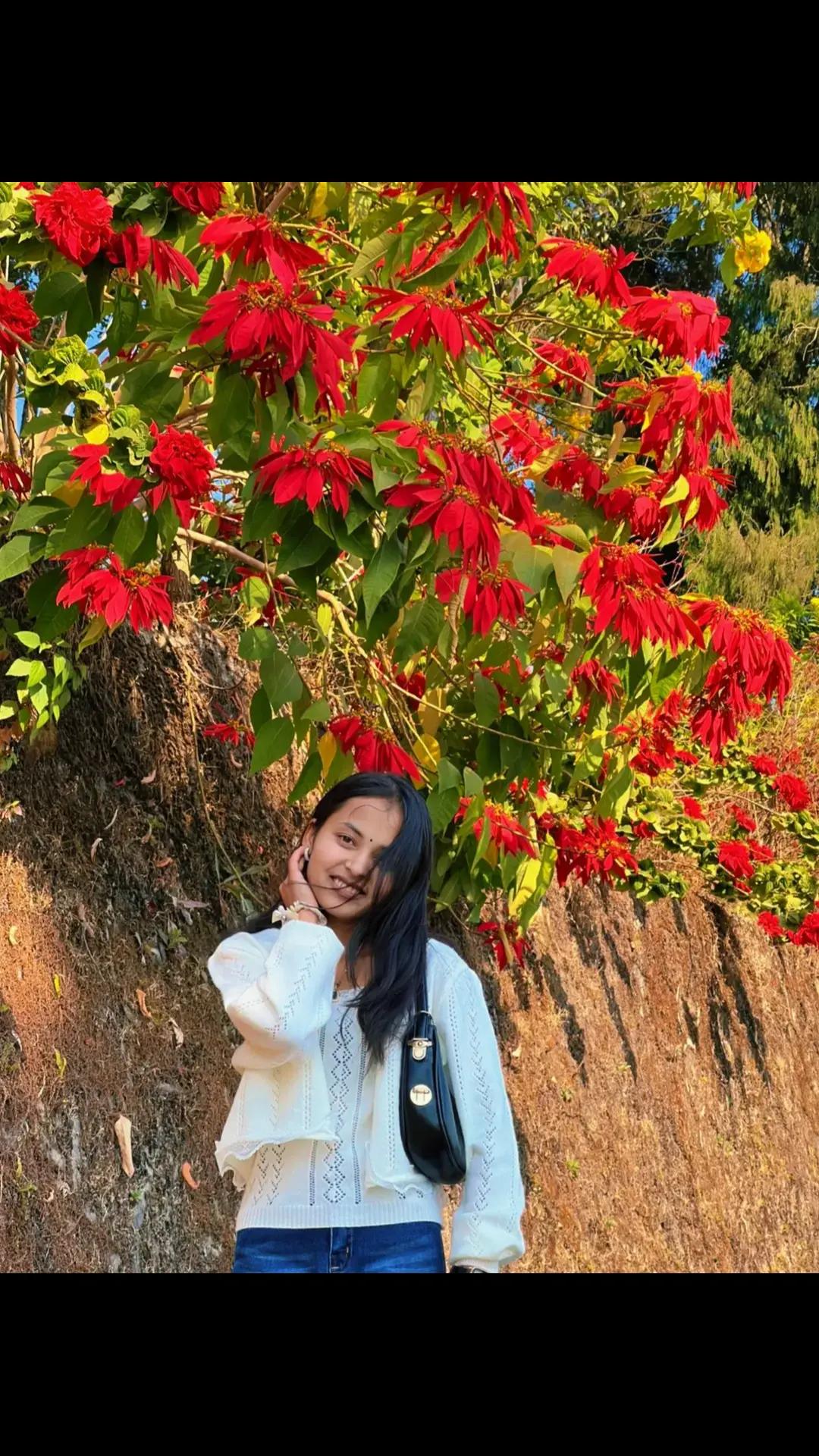 @nishu🦚🫂
