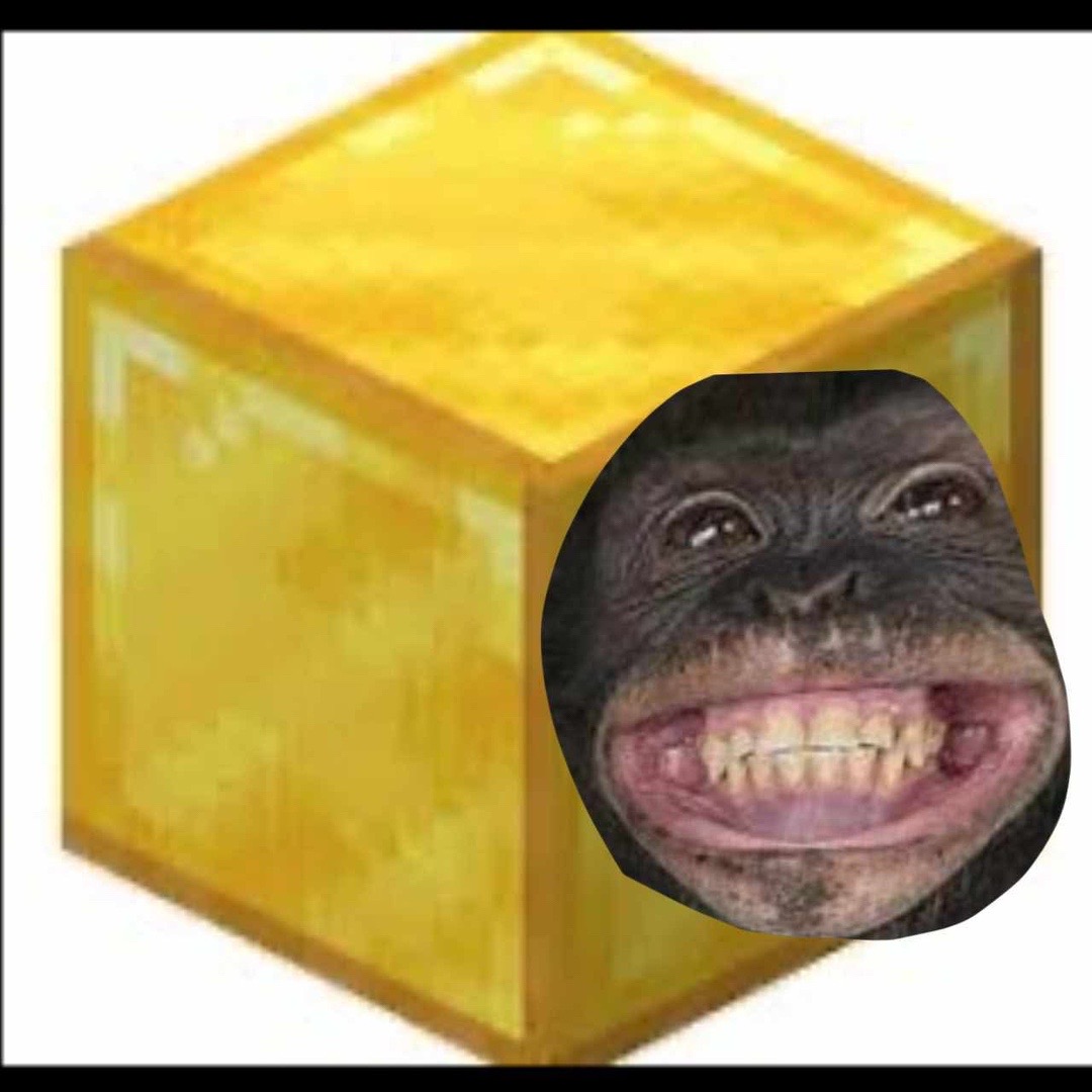 @AECORhatesemojicats