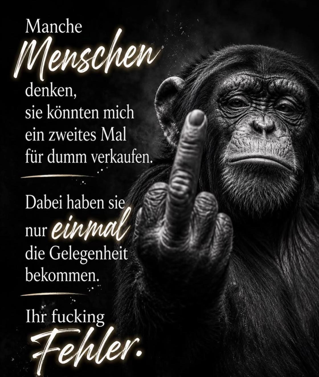 @Birgit Berger ( Biggi )