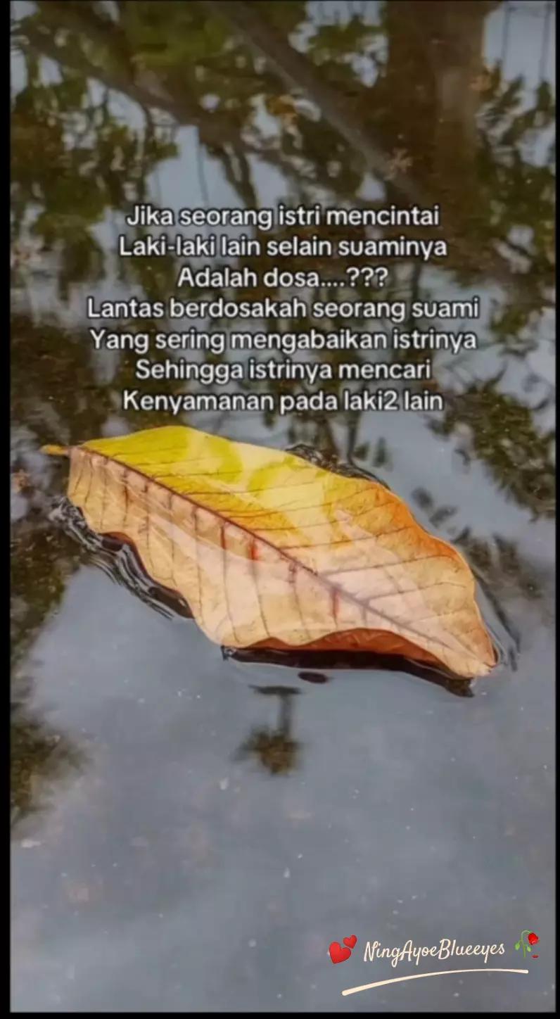 @Ning Ayoe Blueeyes