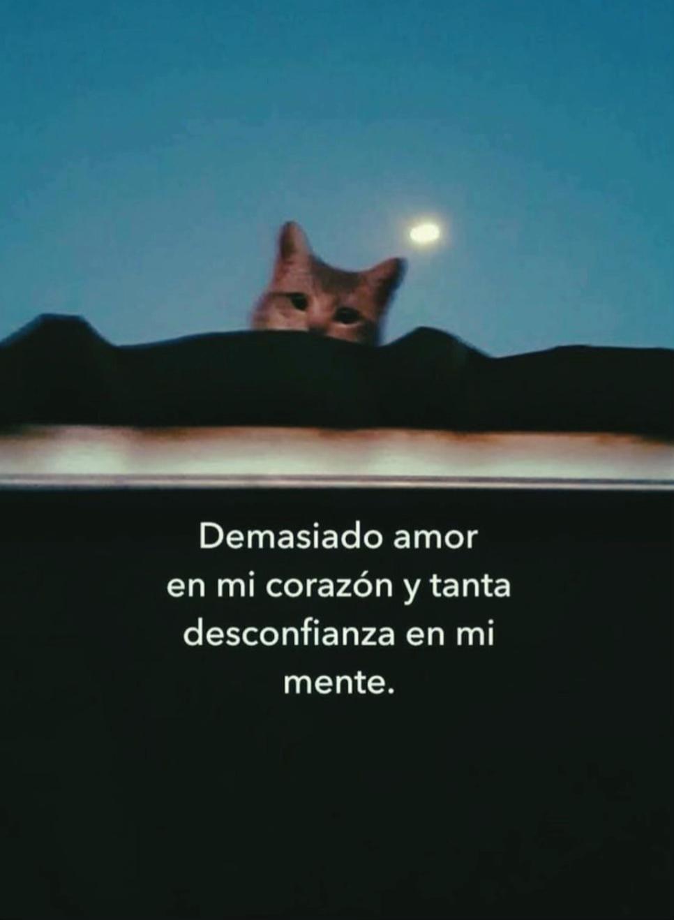 @Crayoli R