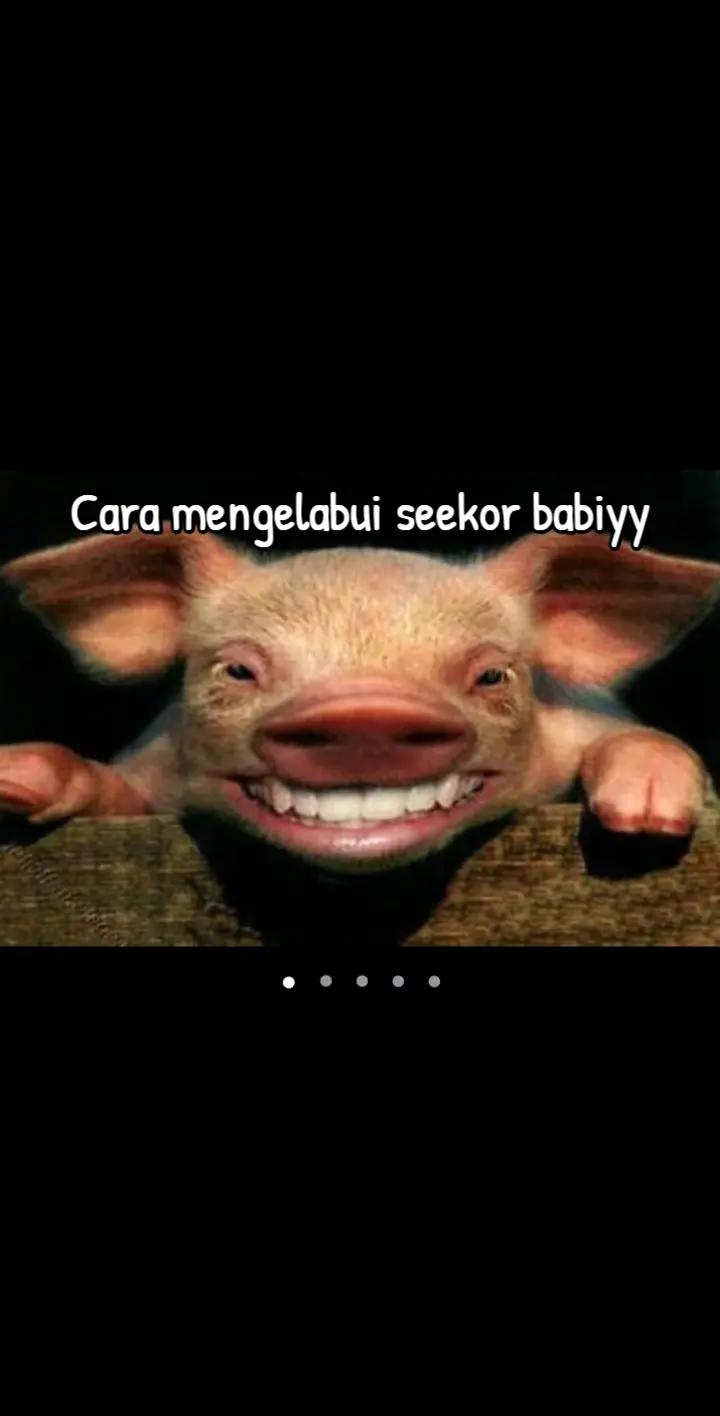 @AdLY TTB