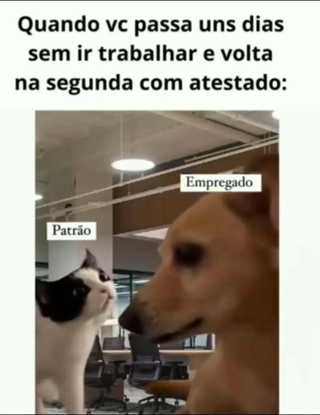 @Julinho