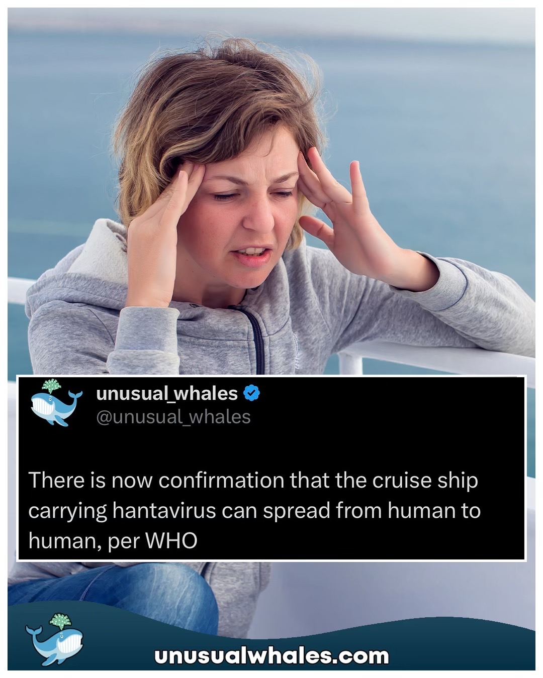 @Unusual Whales