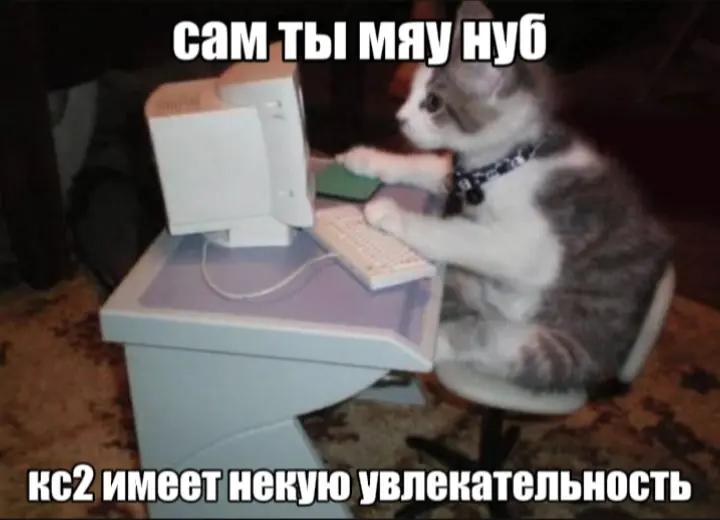 @mythware666