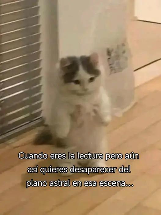 @BlueGL