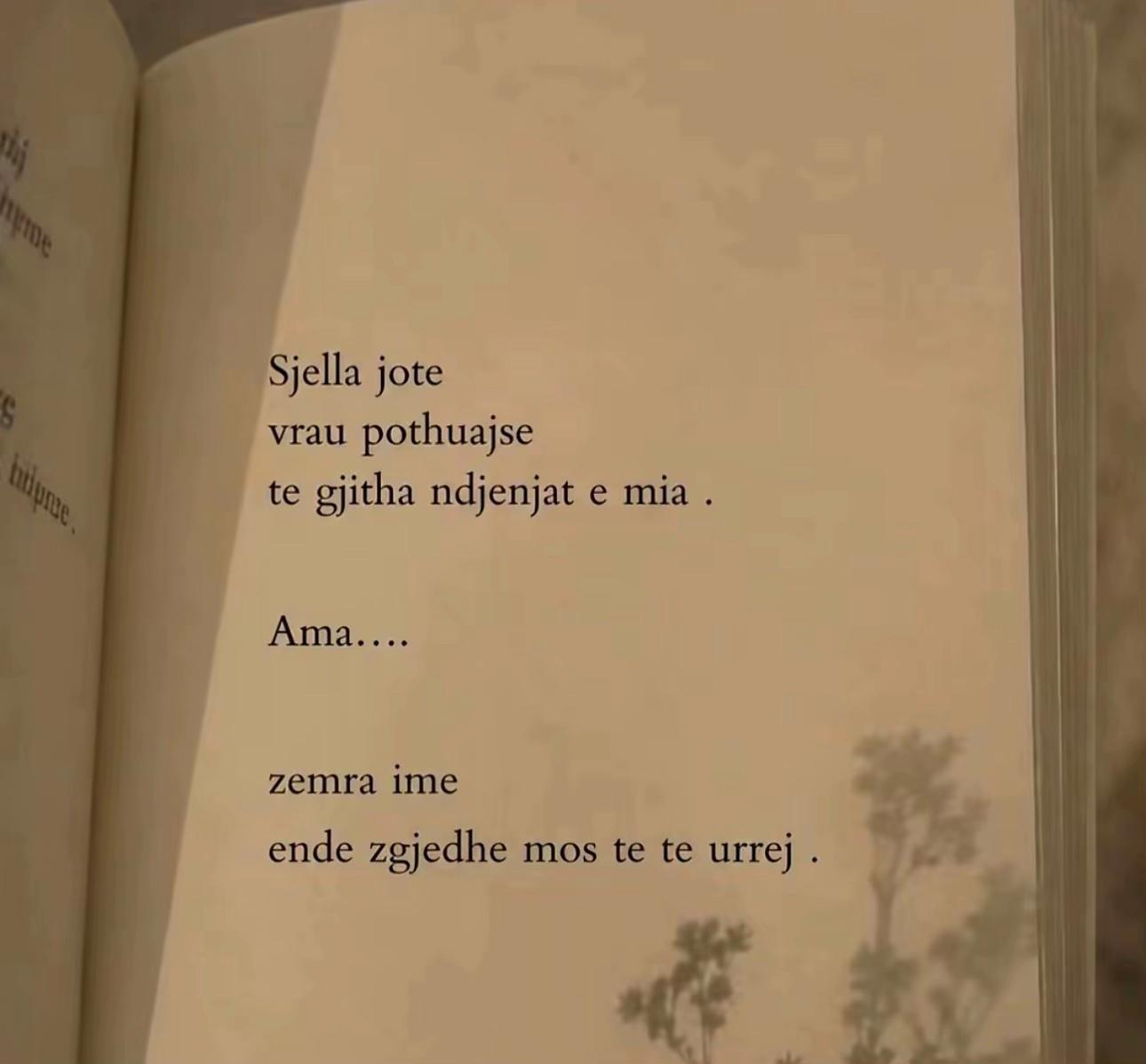 @Syri bukur