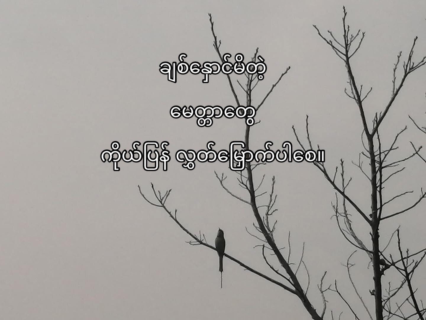 @Bingođ