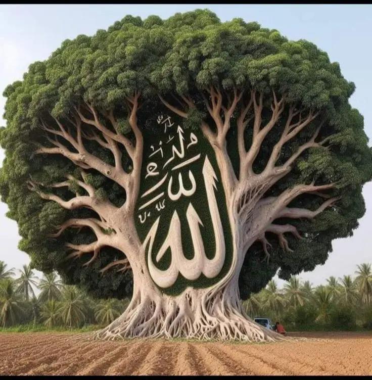 @Islamic video