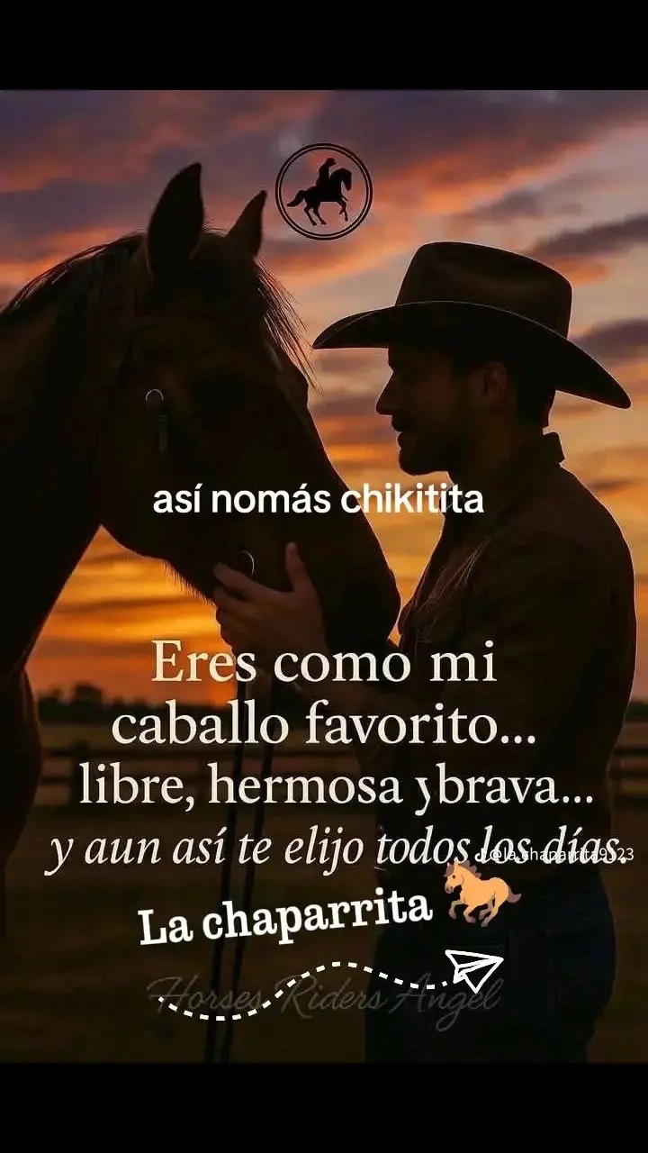 @🐚🐚@GRACIELA ÁVALOS MICHEL🐚