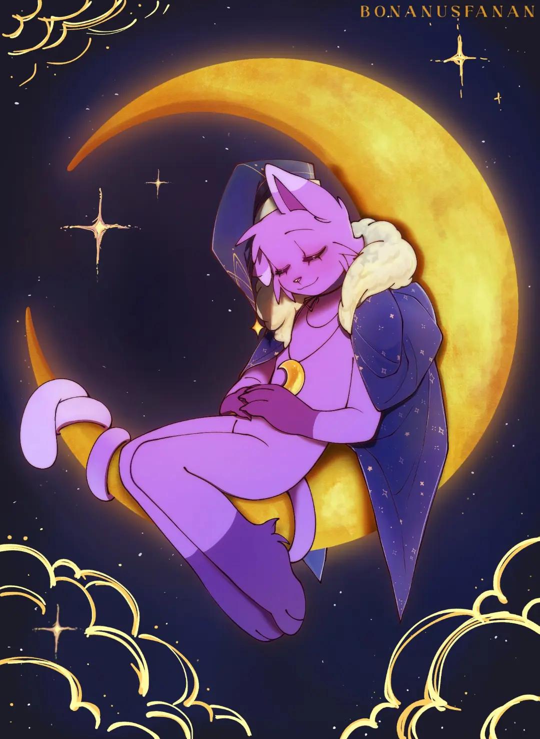 @💤ᴄᴀᴛɴᴀᴘ🌙 ≽(-˕ - ≼マ
