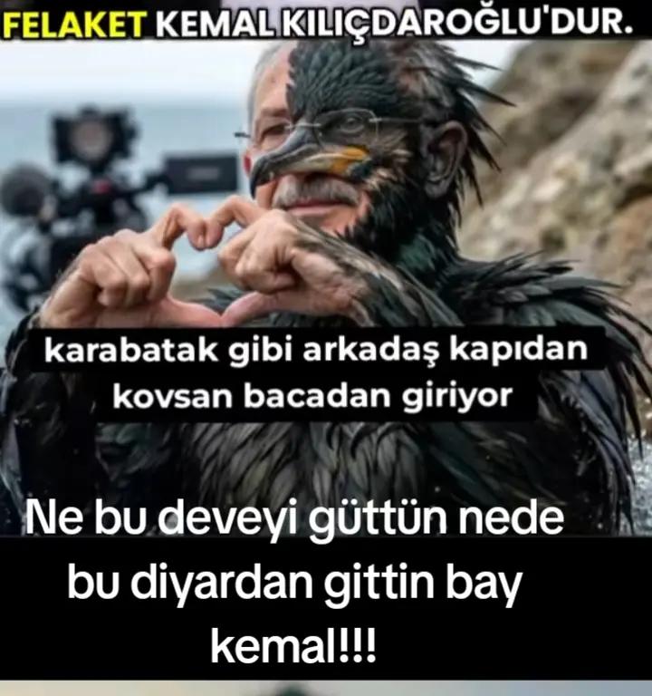 @🤟🐺05🐺🤟34🐺🤟