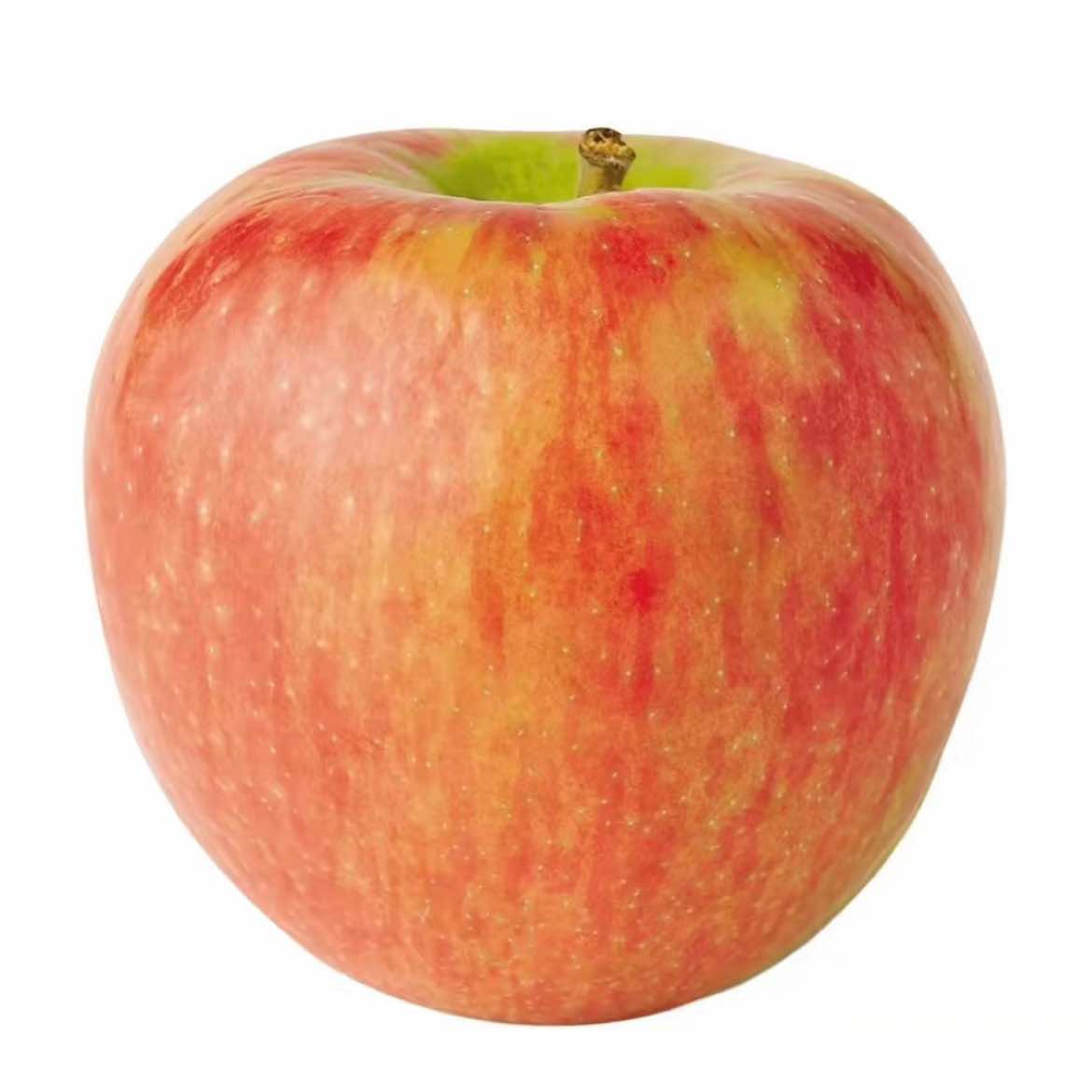 @apple for a brain