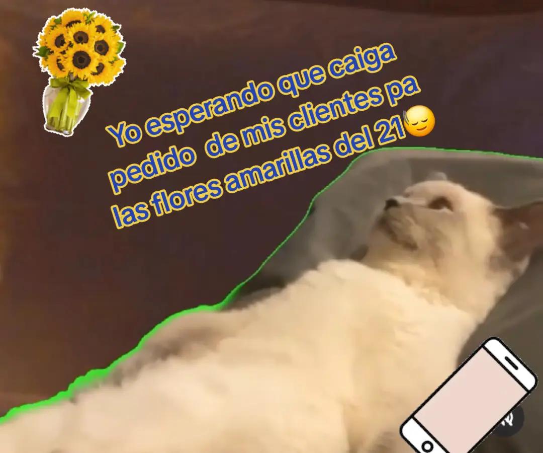 @Gabbymendoza91