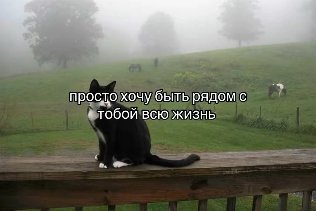 @I hate you.