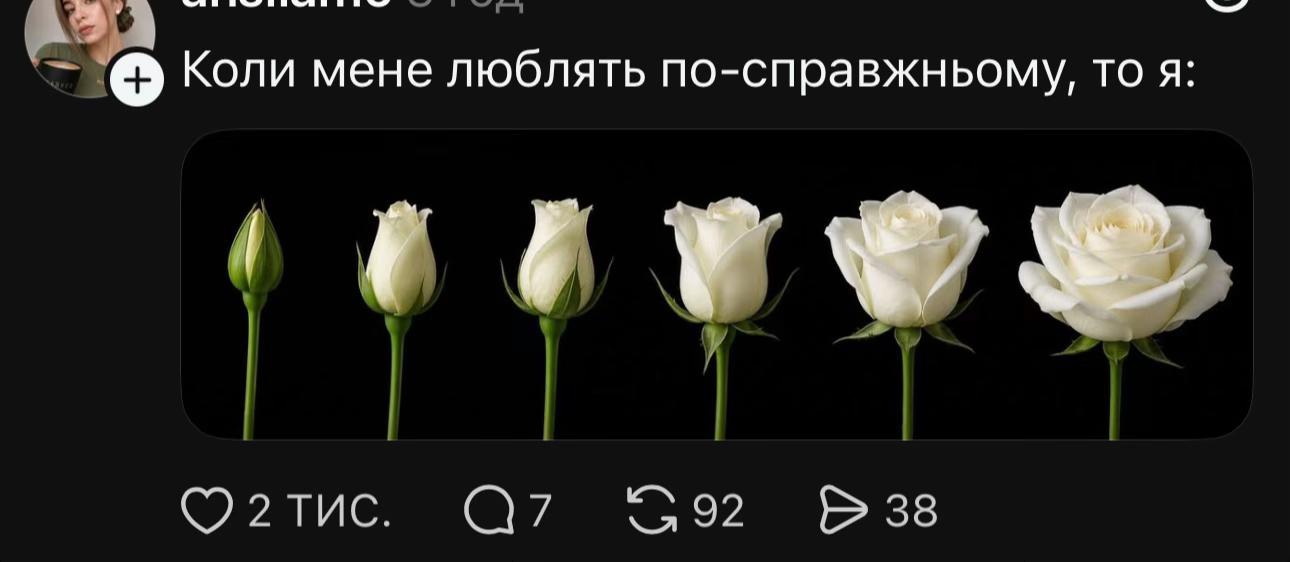 @тихі рядки