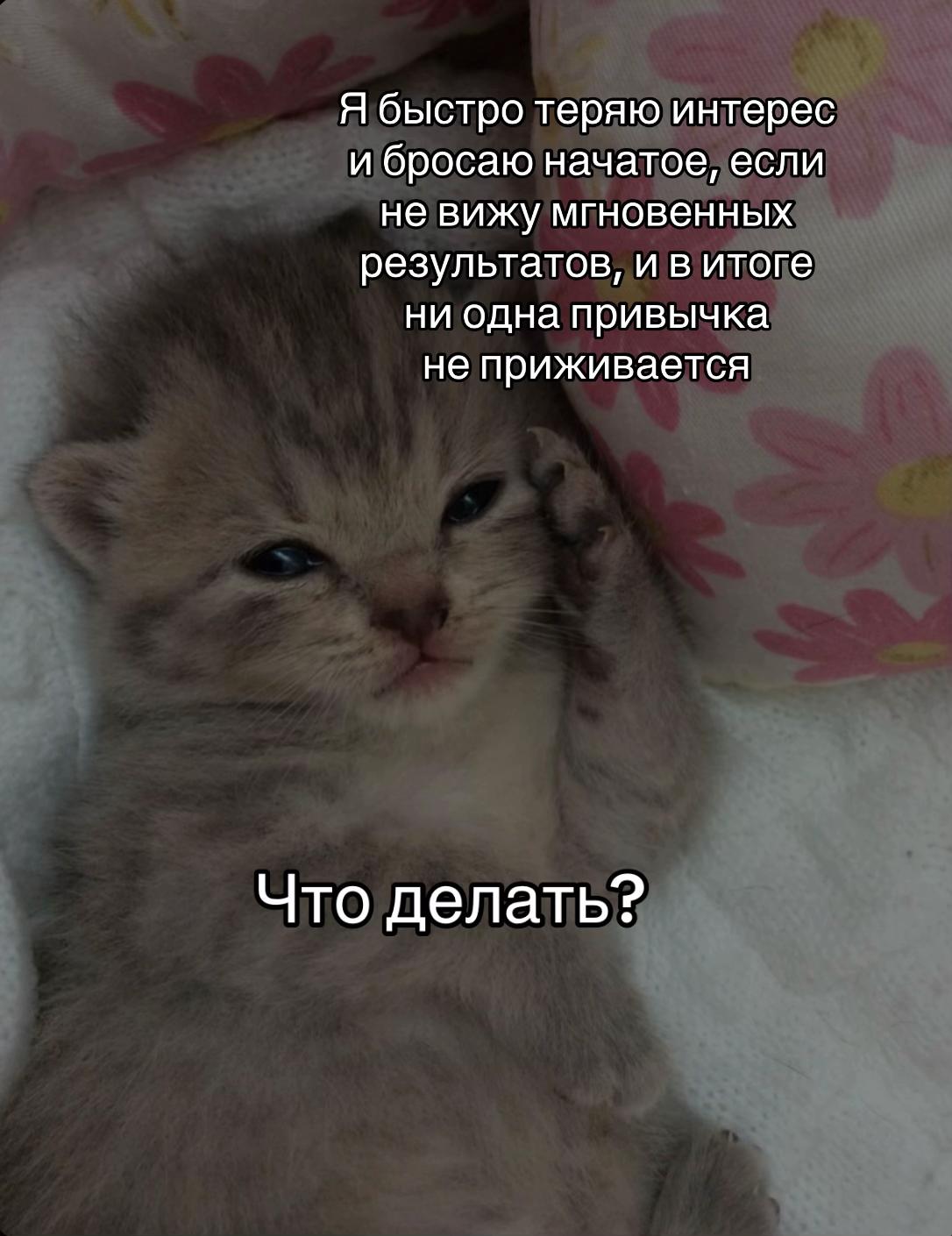@тгк: психология с марго